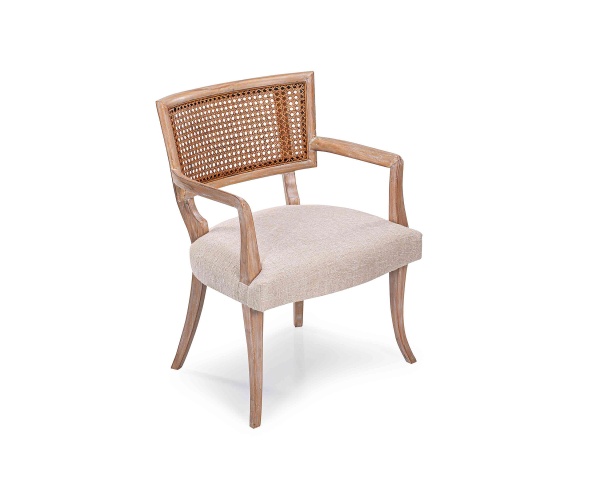 DORIAN ARM CHAIR2