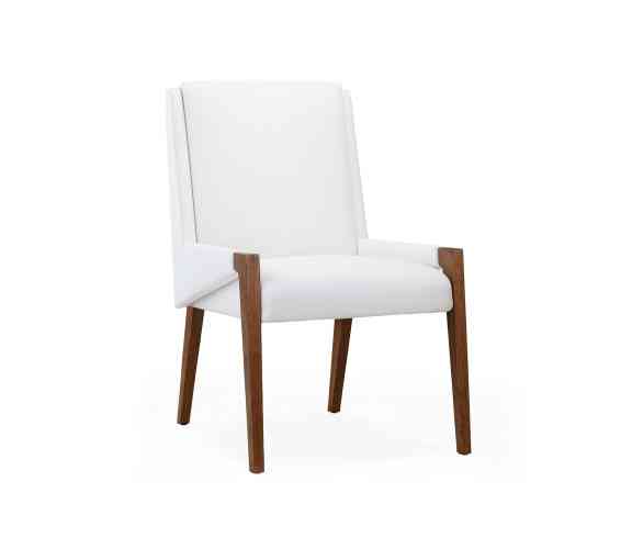 FLYNN DINING CHAIR2